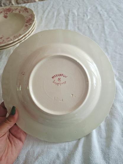 6 assiettes creuses Longchamp terre de fer