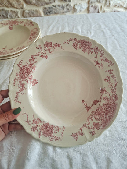 6 assiettes creuses Longchamp terre de fer