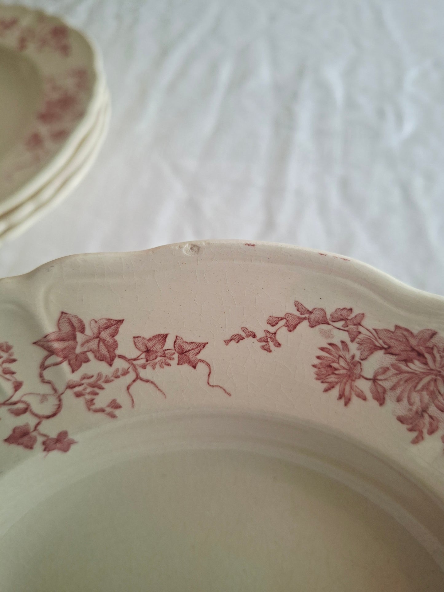 6 assiettes creuses Longchamp terre de fer