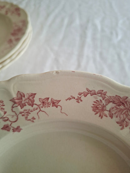 6 assiettes creuses Longchamp terre de fer