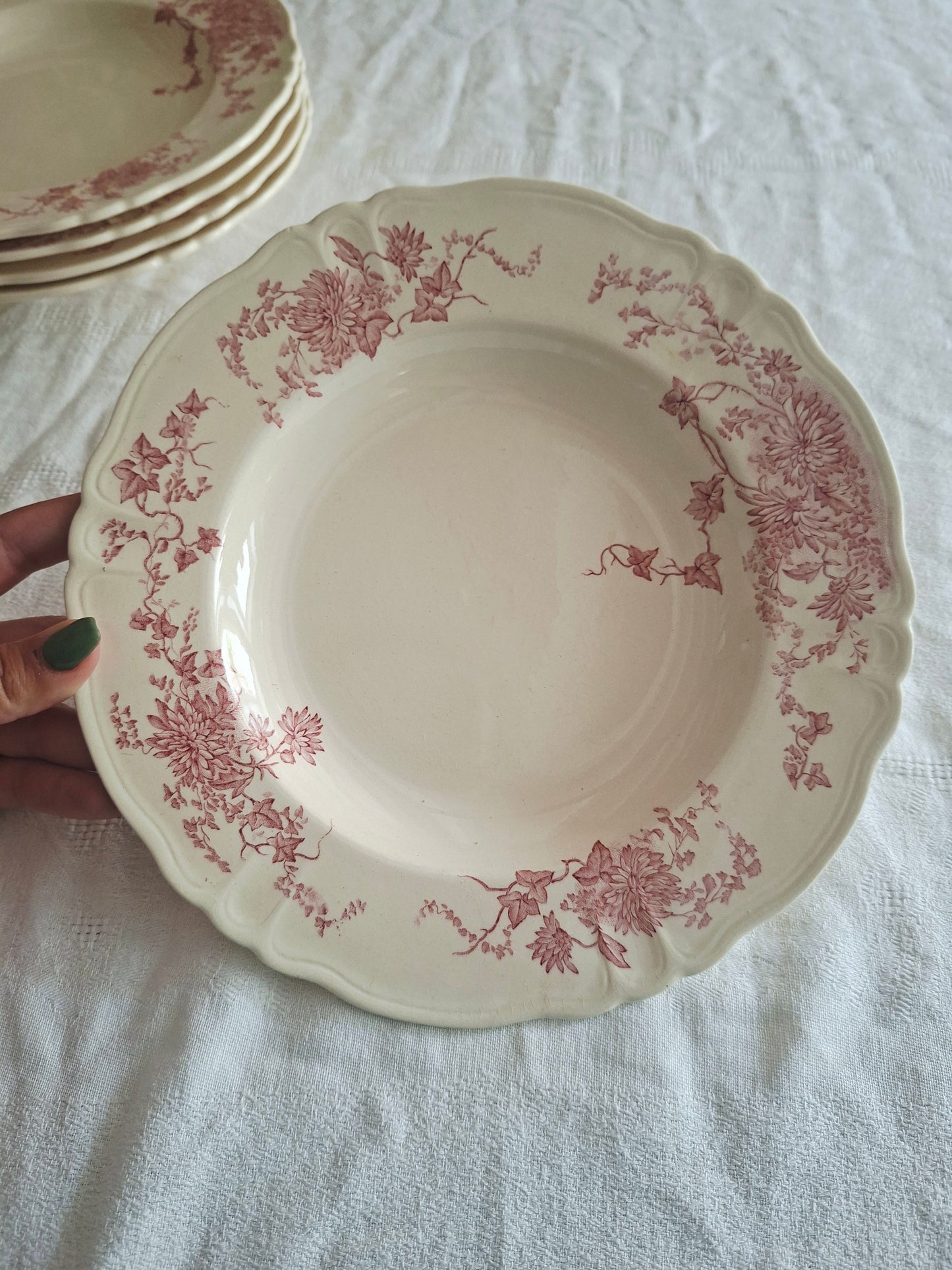 6 assiettes creuses Longchamp terre de fer
