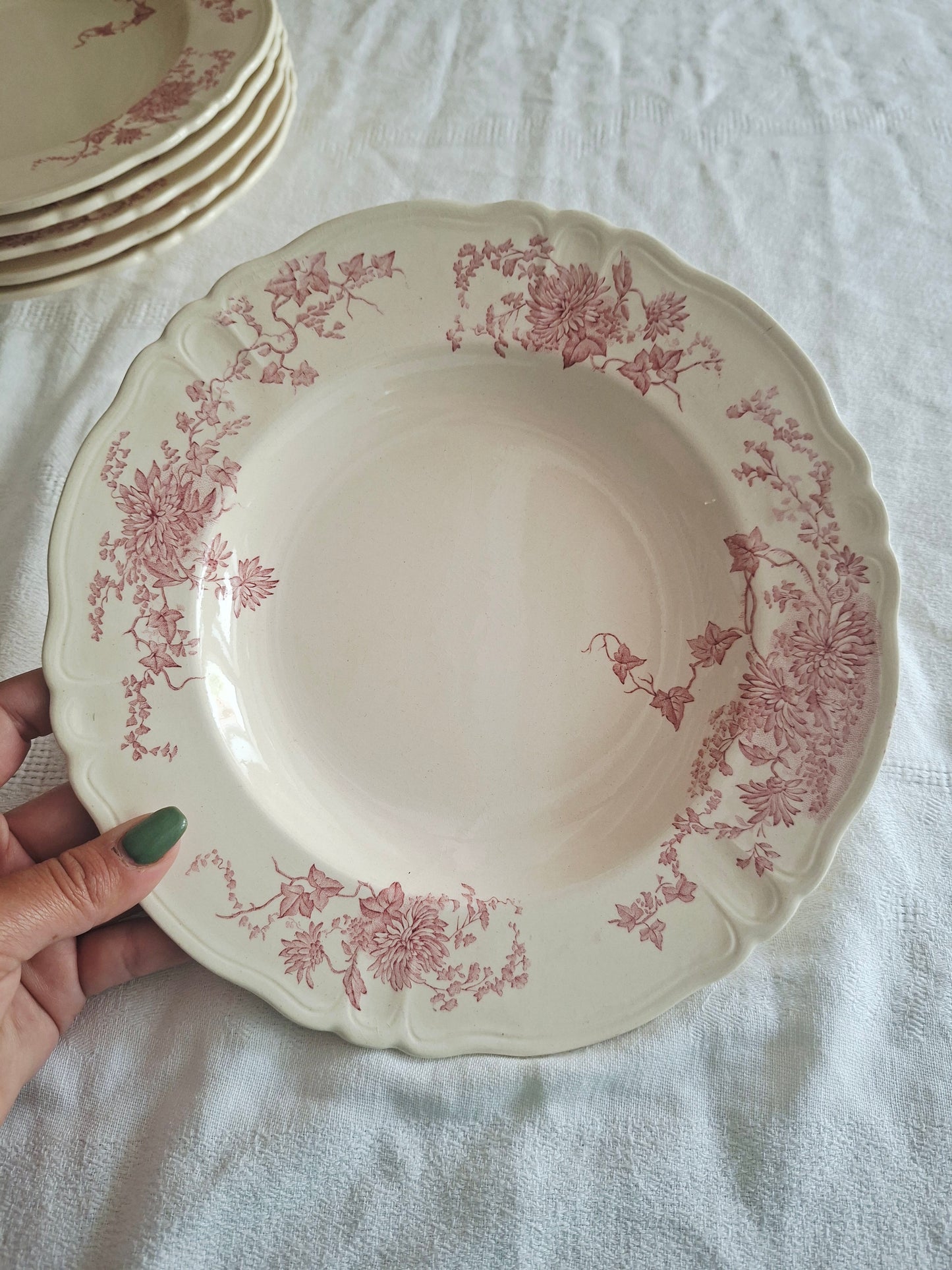 6 assiettes creuses Longchamp terre de fer