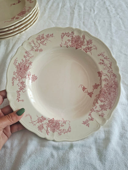6 assiettes creuses Longchamp terre de fer