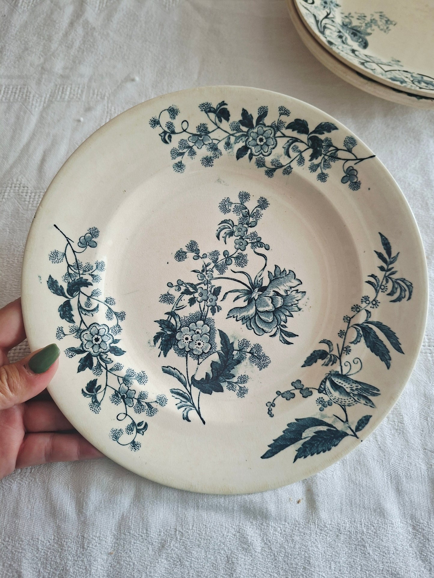 Lot de 6 assiettes plates anciennes – Mix & Match de faïenceries françaises