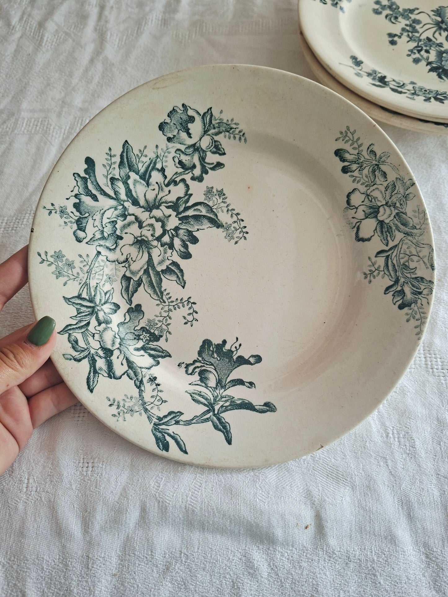Lot de 6 assiettes plates anciennes – Mix & Match de faïenceries françaises