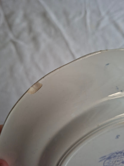 Lot de 6 assiettes à dessert en faïence de Sarreguemines – Modèle Cérès