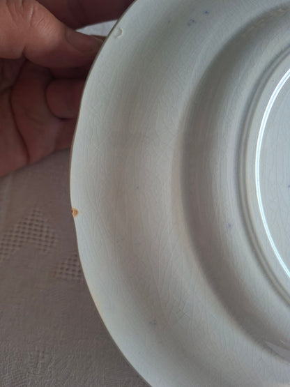 Lot de 6 assiettes à dessert n°2 en faïence de Sarreguemines – Modèle Cérès