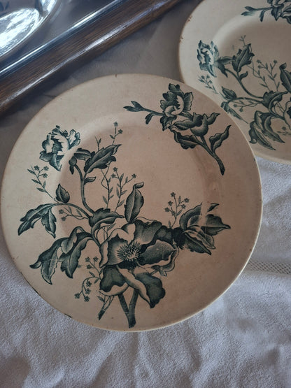 Deux Assiette ancienne Rose de Noël en Terre de Fer