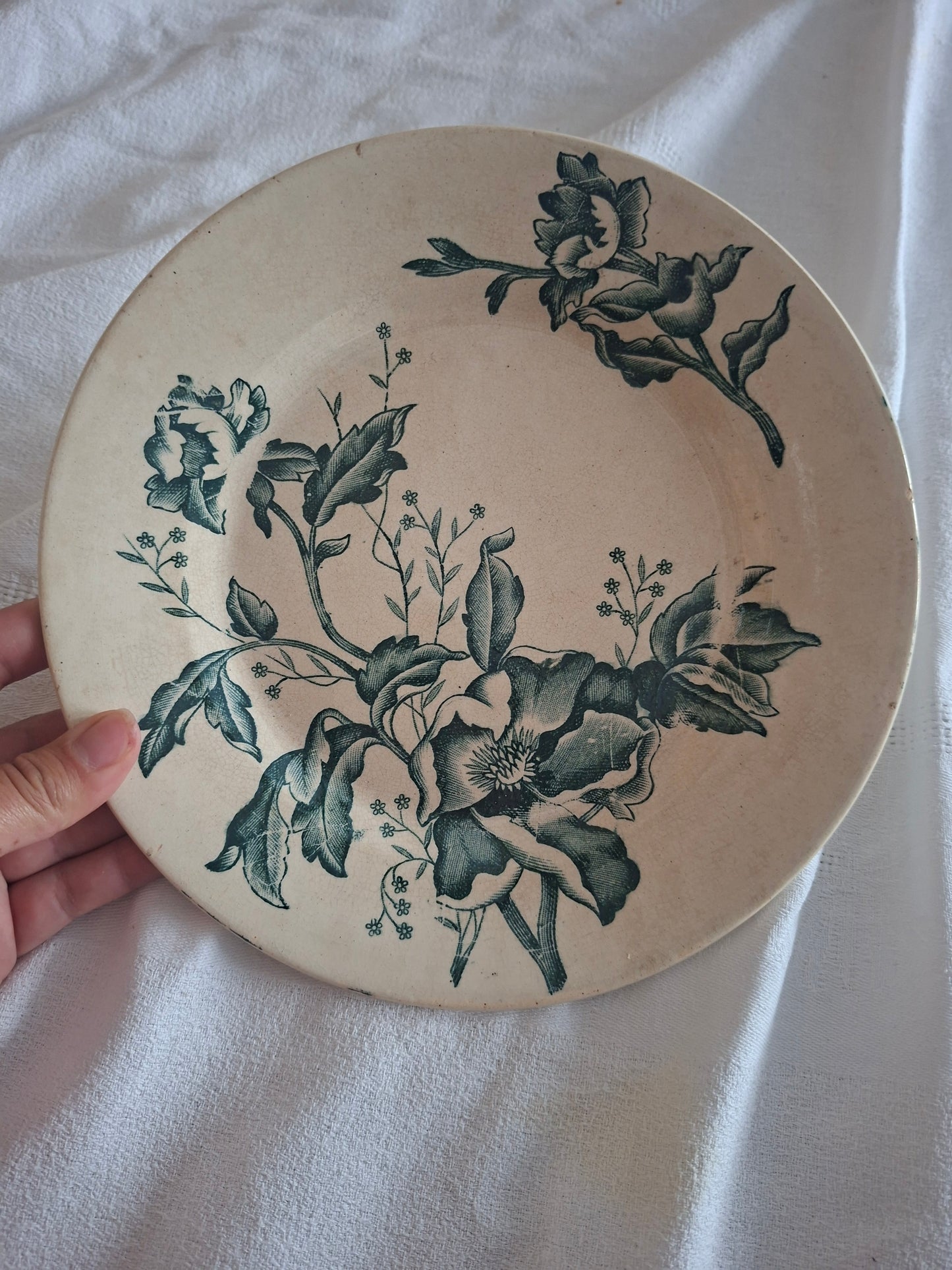 Deux Assiette ancienne Rose de Noël en Terre de Fer