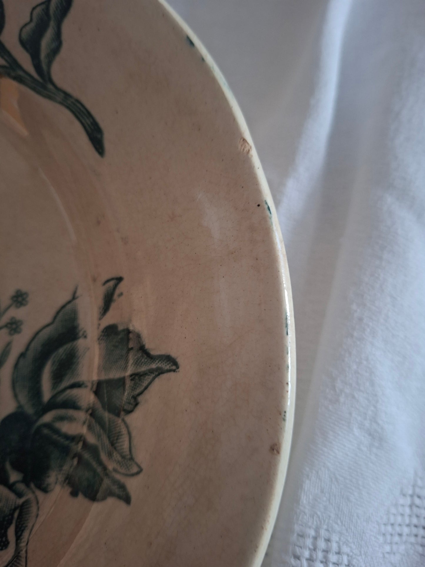 Deux Assiette ancienne Rose de Noël en Terre de Fer