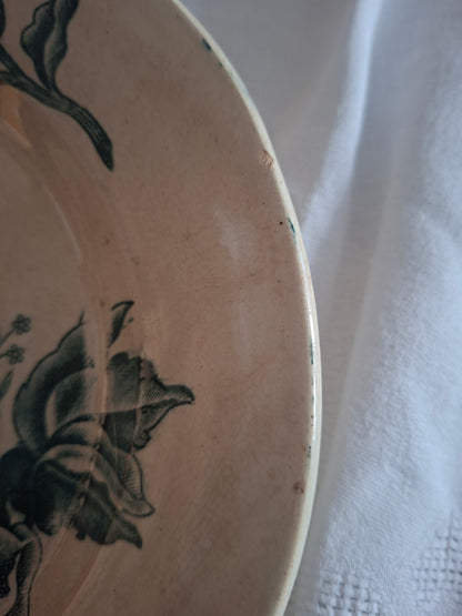 Deux Assiette ancienne Rose de Noël en Terre de Fer