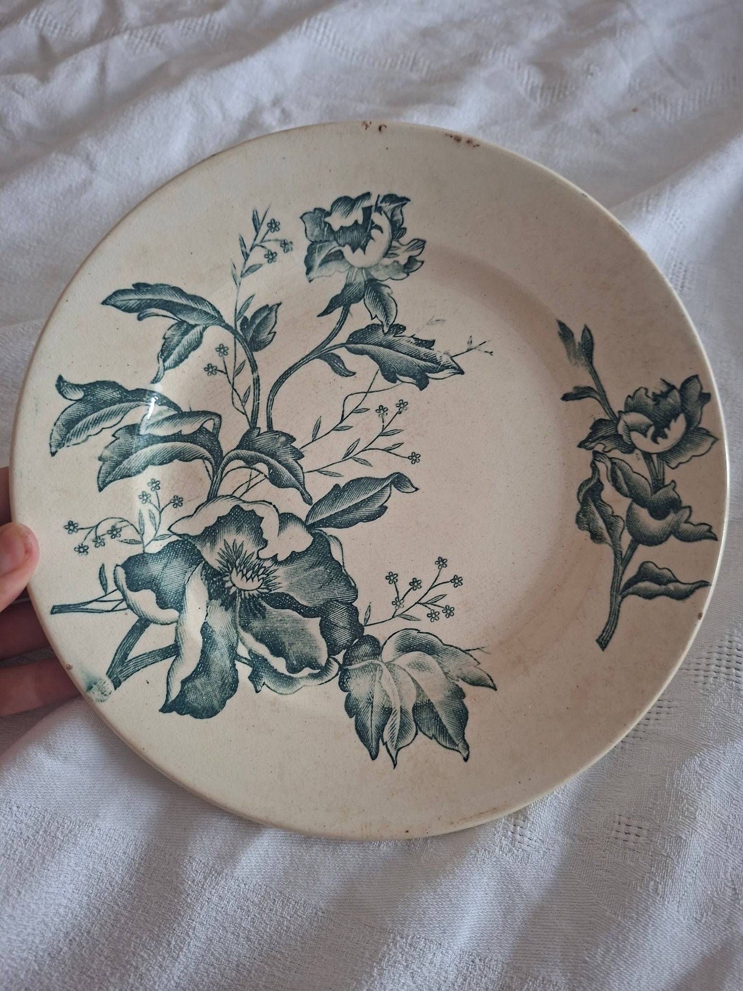 Deux Assiette ancienne Rose de Noël en Terre de Fer