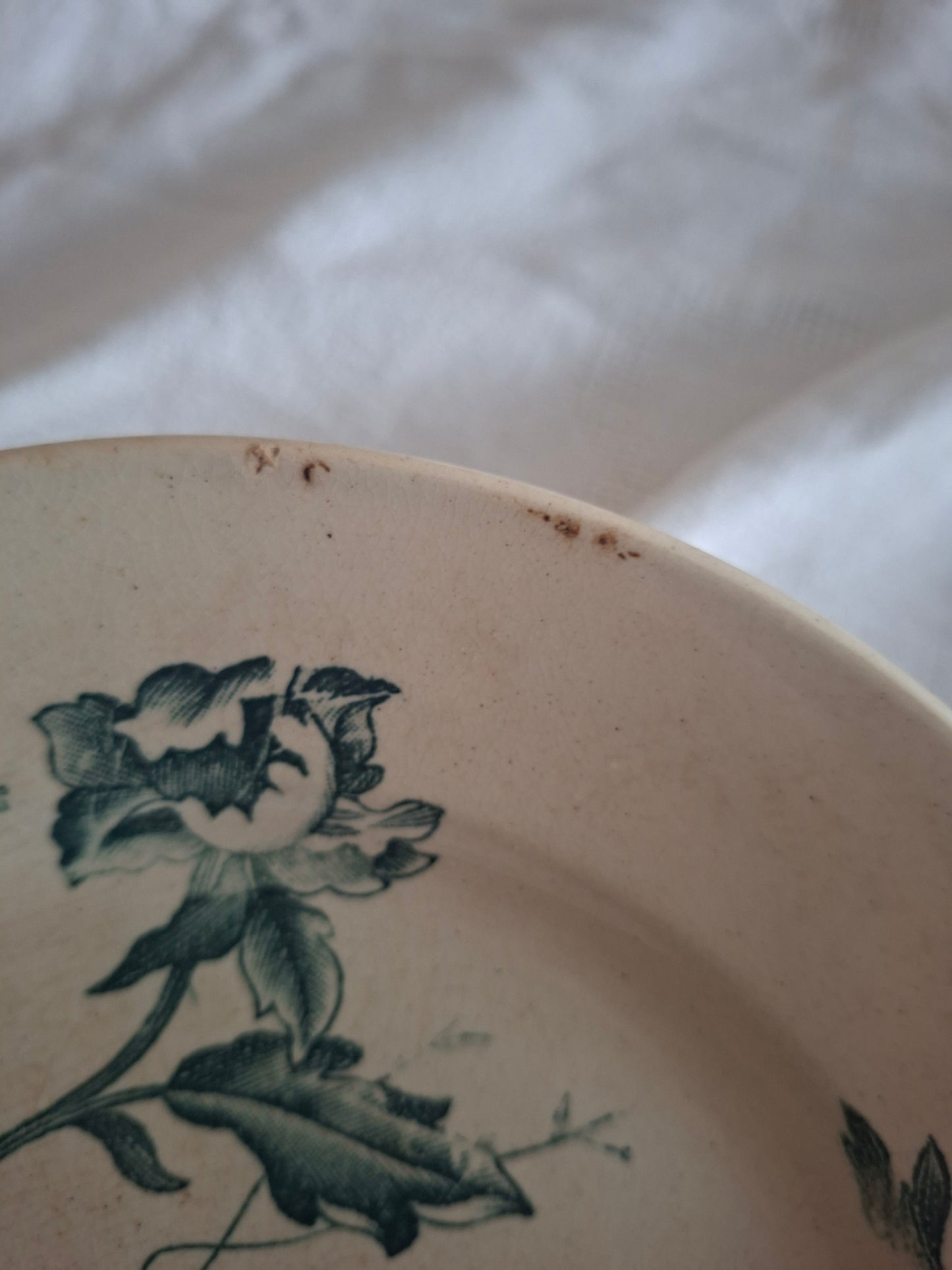 Deux Assiette ancienne Rose de Noël en Terre de Fer