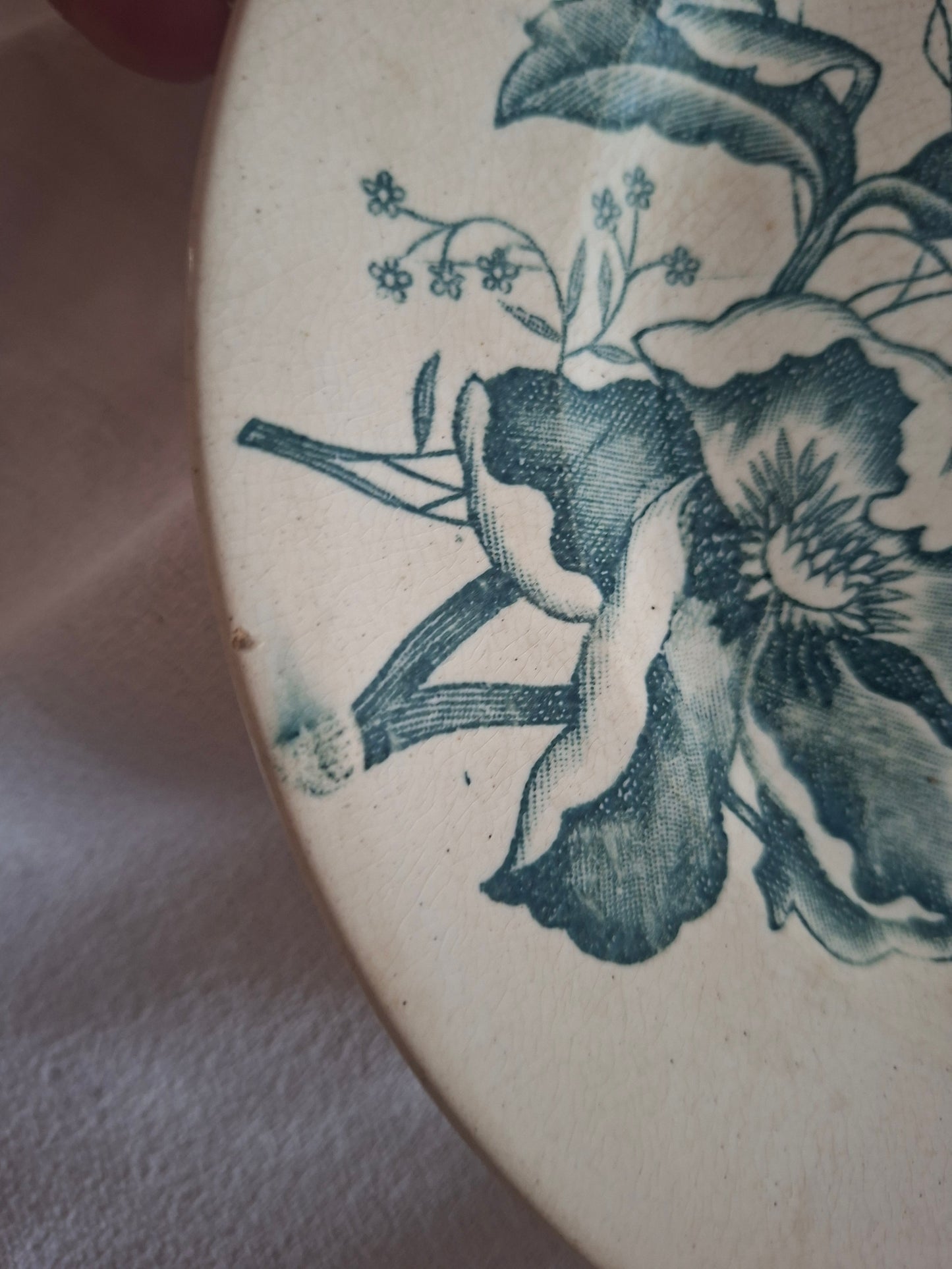 Deux Assiette ancienne Rose de Noël en Terre de Fer