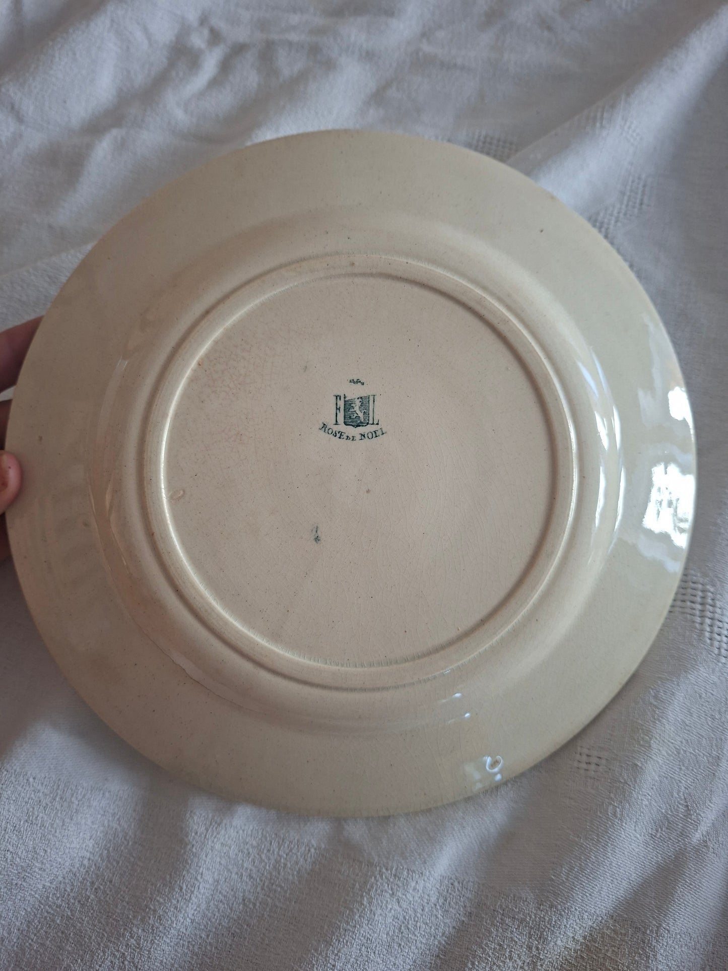 Deux Assiette ancienne Rose de Noël en Terre de Fer