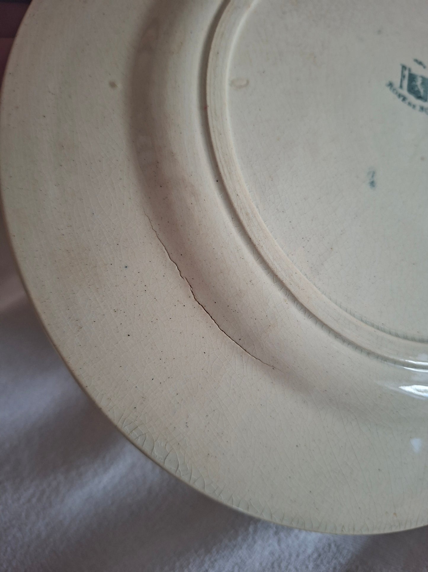 Deux Assiette ancienne Rose de Noël en Terre de Fer