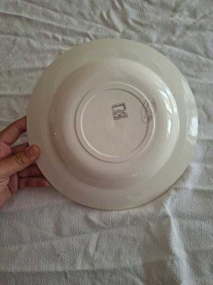 6 assiettes creuses anciennes Salins – modèle Arizona – Ø 23 cm (2)