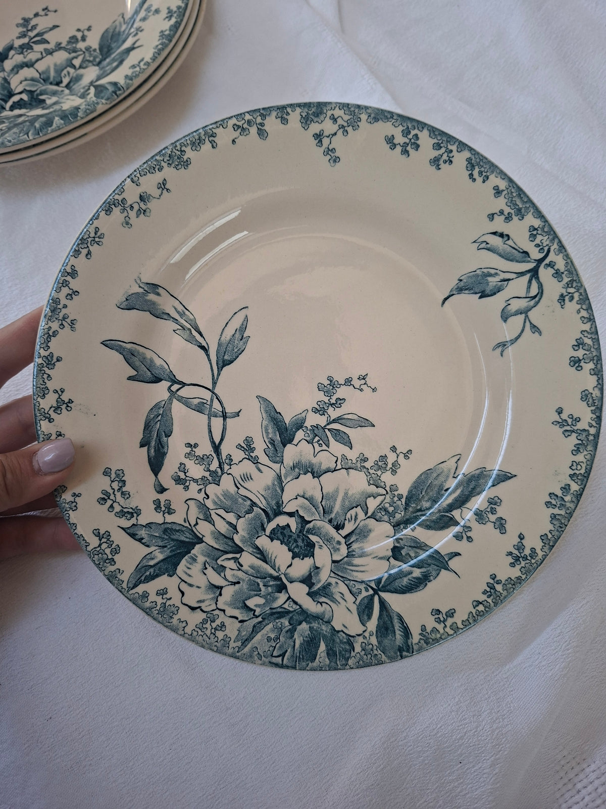 6 assiettes plates (1) Gien modèle « Milan » en terre de fer