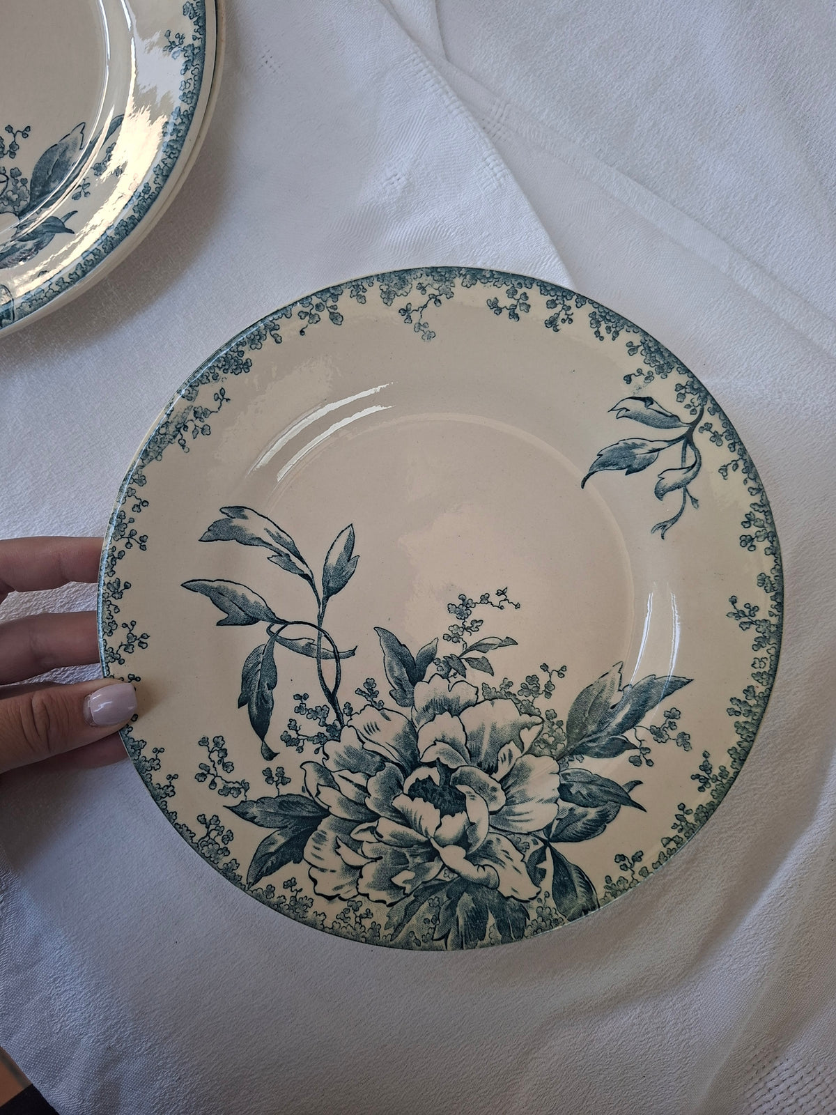 6 assiettes plates (1) Gien modèle « Milan » en terre de fer