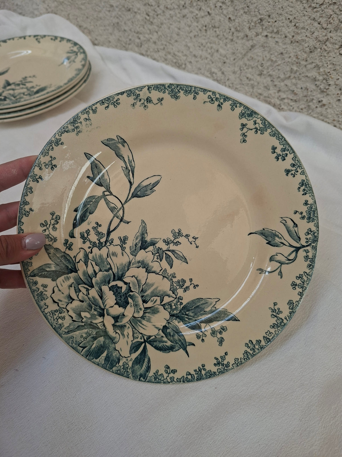 6 assiettes plates  (4) Gien modèle « Milan » en terre de fer