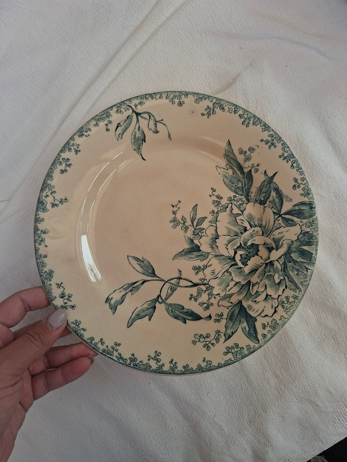 6 assiettes plates  (4) Gien modèle « Milan » en terre de fer